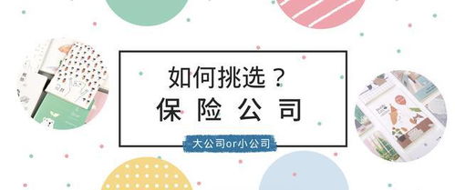 为什么保险经纪人总是推荐所谓‘小公司’的产品？保险代理眼中的真相